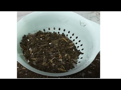 How to make a DIRT substrate aquarium. A step by BORING step process of how I set up an organic soil aquarium with a sand cap.   By far the