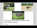 Darwin's Contributions to Evolutionary Theory