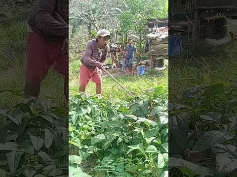 kala ko kasi d magugulat..damay pa yong nag wawalis..