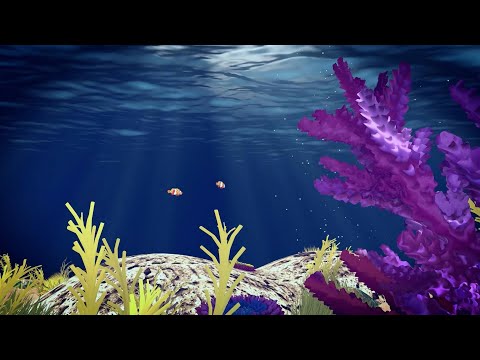 Coral bleaching | AFP