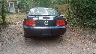 2006 Mustang - Southern California Special I  bought from a salvage auction