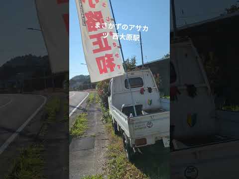 【情熱朝活🌞】西大原駅 情熱未来予想図 持続可能な街づくり いすみ市 フェーズフリー まさかずのアサカツ R7/8/19 小路正和