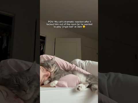 Girl's gotta sleep 🫠 #viral