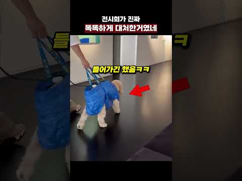 전시회가 진짜 <strong>똑똑하게</strong> 대처한거였네
