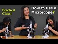Exploring Microscope Parts and Their Functions
