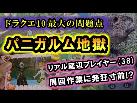 ドラクエ10「リアル底辺のパニガルム周回！つらい現実から逃げてもゲームは逃げるな！」