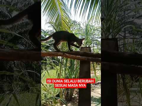 pesan terbaik‼️ #quotes