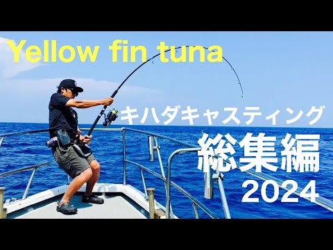 キハダマグロキャスティング【ヒット〜キャッチ】2024総集編