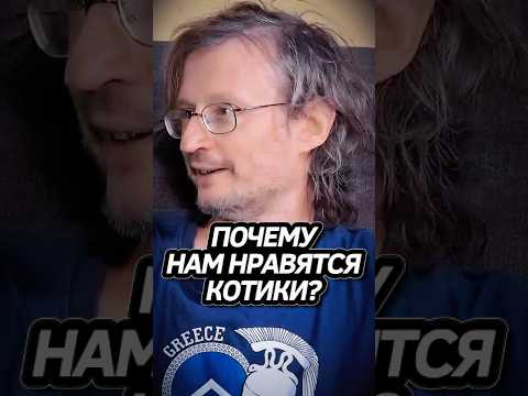 Дробышевский о Котиках! #интересно