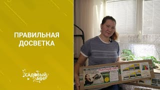 видео