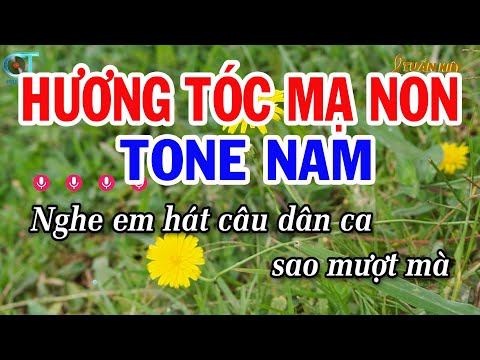 Karaoke Hương Tóc Mạ Non Tone Nam ( Dm ) Nhạc Sống Hay | Karaoke Tuấn Kiệt