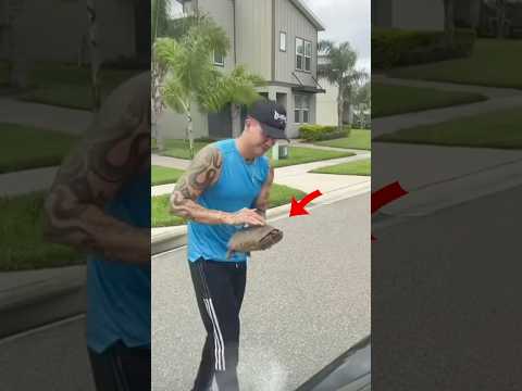 JUAN AYUDANDO A LOS ANIMALES ANTES VS AHORA❤️🩹| #shorts #juandediospantoja #kimberlyloaiza