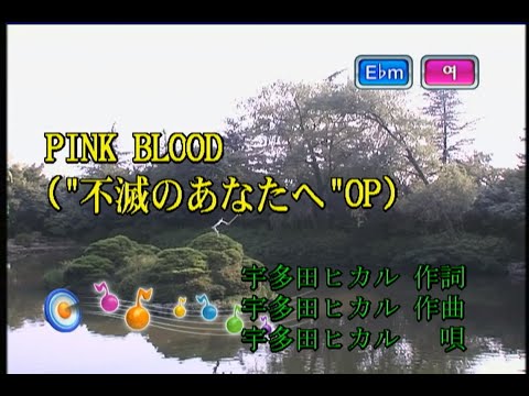 宇多田ヒカル (우타다 히카루) – PINK BLOOD (KY 44675) 노래방 カラオケ