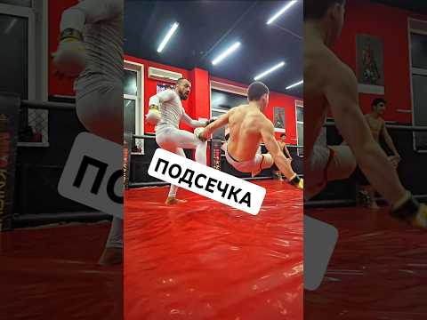 Подсечка против тех, кто любит использовать защиту разрывом дистанции. #ммаknight #karate #подсечк