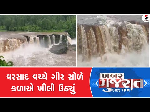 Khabar Gujarat | વરસાદ વચ્ચે ગીર સોળે કળાએ ખીલી ઉઠ્યું | Weather | Rain | Gujarat