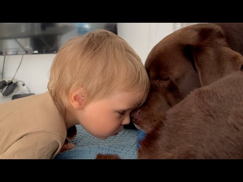 Cutest Friendship Ever Caught on Camera!