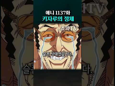 키자루의 정체 (원피스 애니 1137화)