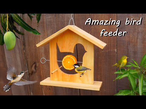 Boost health of bird with wooden bird feeder