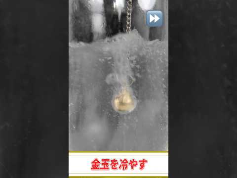 100%解けない究極の知恵の輪