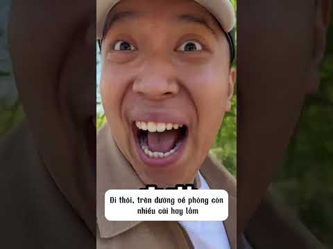 Khách sạn toàn là động vật hoang dã | Hài hước mê lầy #shorts #funny
