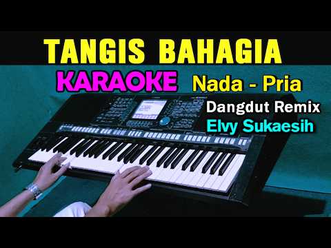 TANGIS BAHAGIA - Elvy Sukaesih | KARAOKE Nada Pria || Versi Remix