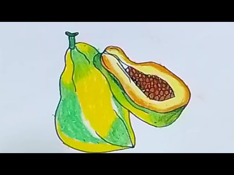 Papaya Icon Vector Isolated Illustration Stock Illustration - Download  Image Now - Papaya, Fruit, Cartoon - iStock