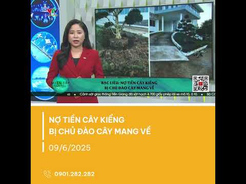 Xe vào Huyện ủy chở cây kiểng đi vì “chưa được trả tiền” | VTV CẦN THƠ