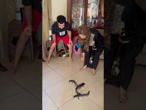 القراميط هجمت علي بيتنا😰😂