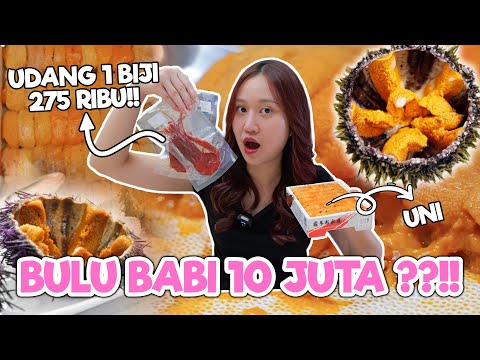 NYOBAIN MAKAN UNI LANGSUNG DARI JEPANG & UDANG CARABINEROS !!