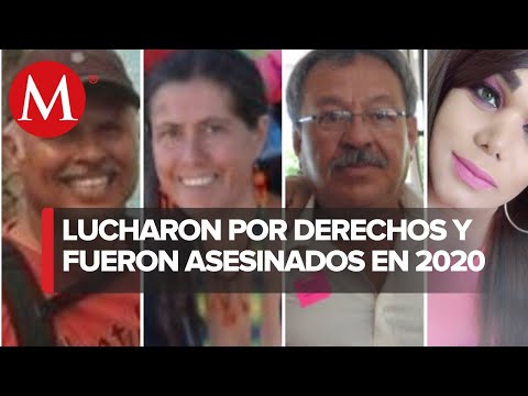 En México, 14 activistas ambientales y trans fueron asesinados en 2020