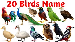 20 पक्ष्यांची नावे | Birds Name in English and Marathi with Pictures & Sounds | Birds name Marathi