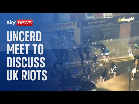 UN Committee on the Elimination of Racial Discrimination discuss UK riots