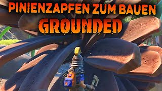 Pinienzapfen für neue Strukturen in Grounded