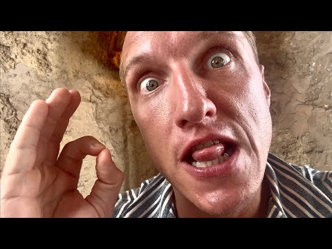 BITCOIN ALL TIME HIGH!!! TOP 2 ALTCOIN’s!!!!!!!