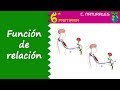 Comprendiendo la Función de Relación