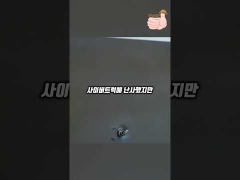 도로에서 사이터트럭을 발견했다면?🚙
