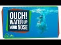 Understanding Nasal Reactions to Water