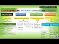 Carbohydrates: Structure and Function