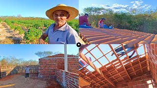 🏡 Começamos a Cobrir com Telha a casa +Mostrando a Plantação de Macaxeira e o Estábulo Vejam Só