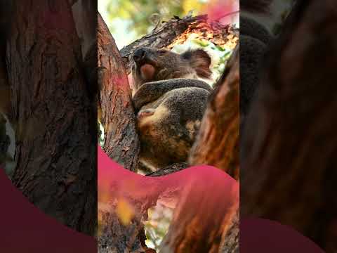 True Facts #everydaywonders