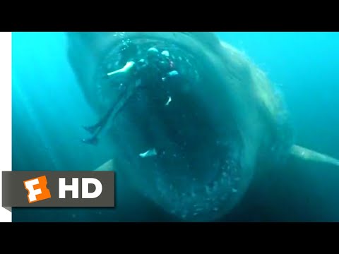 Shark Cage vs. Megalodon Scene