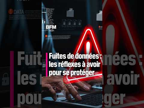 Vos données ont-elles fuité ? Les conseils de la CNIL 📱🔒