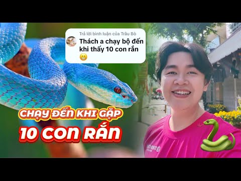 [FULL] Thử Thách: Chạy Đến Khi Gặp 10 Con Rắn - Tết 2025 - TP. Long Xuyên