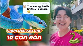 [FULL] Thử Thách: Chạy Đến Khi Gặp 10 Con Rắn - Tết 2025 - TP. Long Xuyên