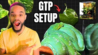 We Got Green Tree Pythons!