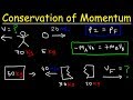 Momentum and Velocity in Physics