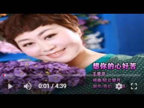 王爱华  想你的心好苦   MTV