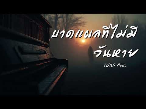 บาดแผลที่ไม่มีวันหาย | TJMS Music | เพลงอกหัก
