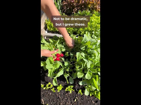 Not to be dramatic, but we grew these 🌱