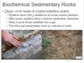 Sedimentary Rocks and Their Formation